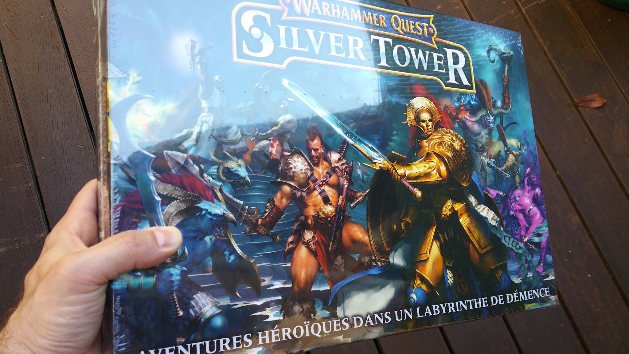 La Tour D'argent du Dungeon Crawler