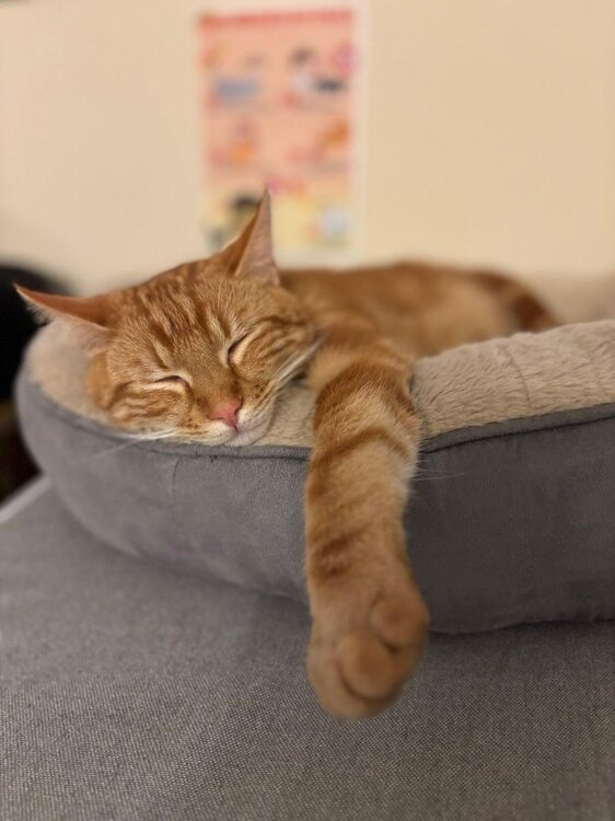 Démon dormant